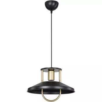 Подвесной светильник TopLight Magdalen TL1659H-01BK