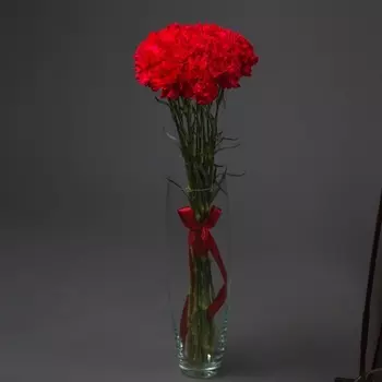 15 Красных Гвоздик