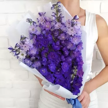 7 Фиолетовых Дельфиниумов
