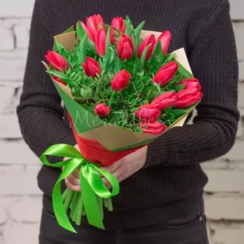 19 Красных Тюльпанов с зеленью