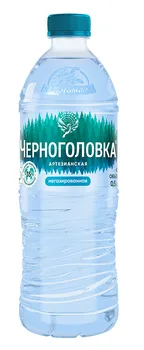 Вода мин Черноголовская б/газа, 0,5 л, пластик