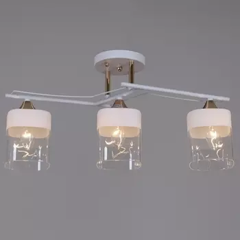 Потолочная люстра на штанге Reluce 06096-0.3-03 WH+FG