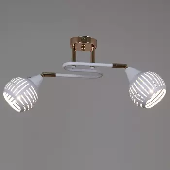 Потолочная люстра на штанге Reluce 70059-3.3-02 FG+WH