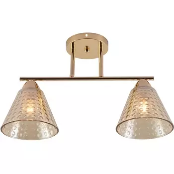 Потолочная люстра на штанге Seven Fires Fabius SF3391/2C-FGD-CL