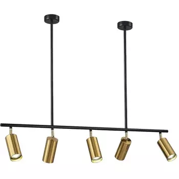 Потолочная люстра на штанге ST Luce Sormano SL1206.413.05