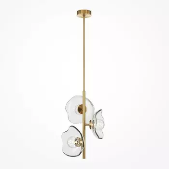 Потолочная люстра на штанге Maytoni Miracle MOD207PL-03BS