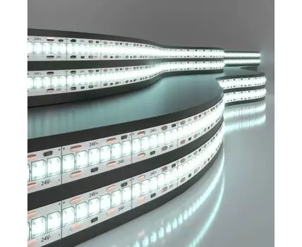 Светодиодная лента Лента светодиодная 24V 24W 240Led 2835 IP20 холодный белый, 5м