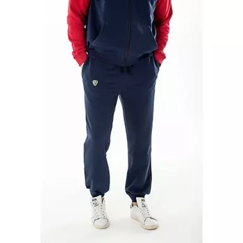 BY Брюки мужские, хлопок, размеры S-XXL, цвет темносиний