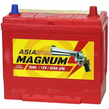 Автомобильный аккумулятор "Magnum" Asia 50 Ач о/п B24L