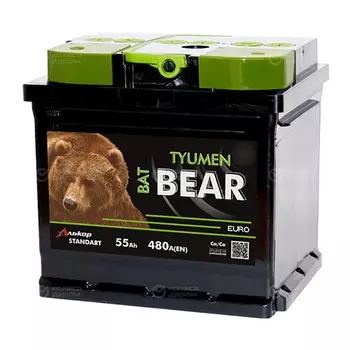 Автомобильный аккумулятор Tyumen Batbear 55 Ач прямая полярность L2