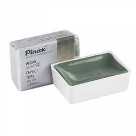 Акварель Pinax кювета 2,5 мл W295 Серая Дэвиса