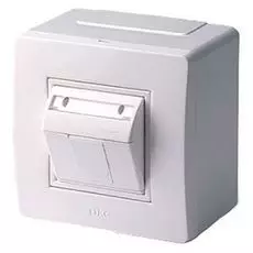 Коробка DKC 10665 в сборе с 1 розеткой Brava RJ45, кат.5е (телефон / компьютер), белая, "In-liner Classic"