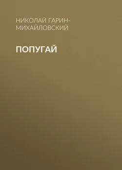 Попугай