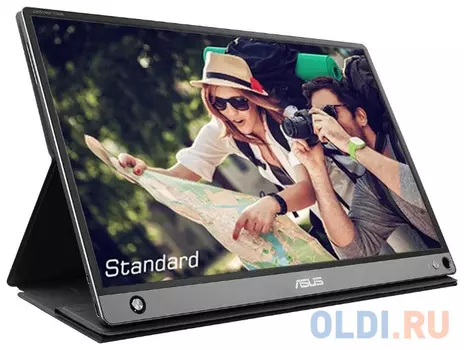 Монитор 16" ASUS ZenScreen Touch MB16AMT cерый IPS 1920x1080 250 cd/m^2 5 ms HDMI USB Type-C 90LM04S0-B01170