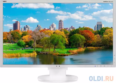 Монитор 22" NEC EA223WM серебристый белый TFT-TN 1680x1050 250 cd/m^2 5 ms DVI DisplayPort VGA Аудио USB