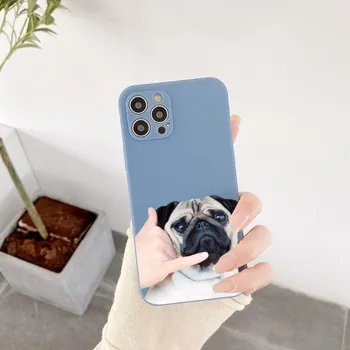 Забавный чехол для телефона Bulldog для iPhone 14 11 12 13 Pro Max X XR XSMax 6 6S 7 8 Plus SE 2022 мягкий квадратный цветной чехол для телефона iPhone 14