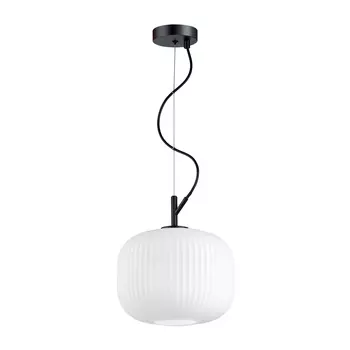 Светильник подвесной Odeon Light Roofi 4753/1