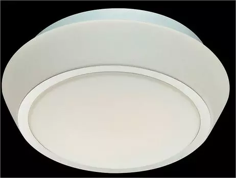 Светильник для ванной ST Luce SL496.502.02