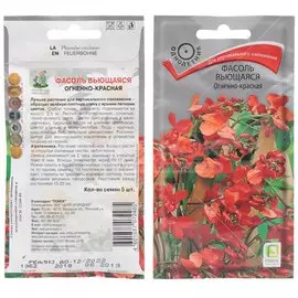 Семена Цветы, Фасоль, Огненно-красная вьющаяся, 5 шт, цветная упаковка, Поиск