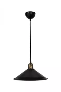 Подвесной светильник Topllight Delilah TL1606H-01BK