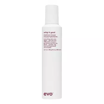 Мусс для волос EVO