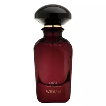Widian Yasat