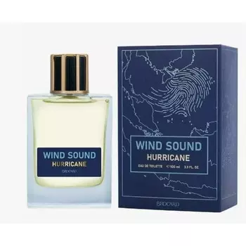 Wind Sound Hurricane