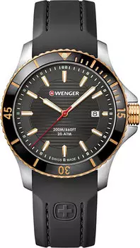 Мужские часы Wenger 01.0641.126