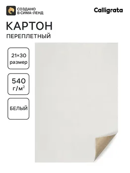 Картон переплетный 0.9 мм, 21 х 30, 50 листов, 540 г/м, белый