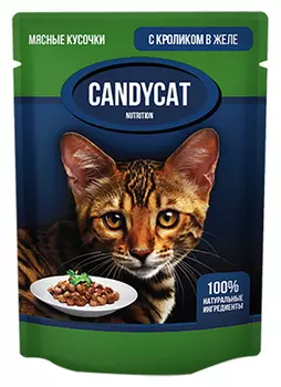 Candycat для взрослых кошек с кроликом в желе (85 гр)