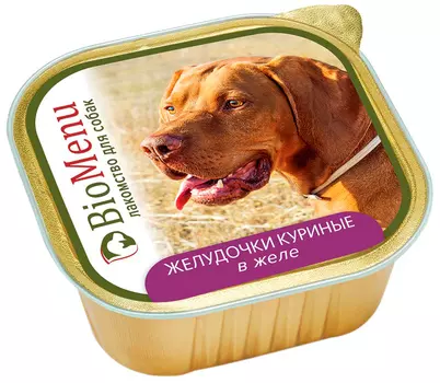 Biomenu для взрослых собак с желудочками куриными в желе (300 гр х 10 шт)