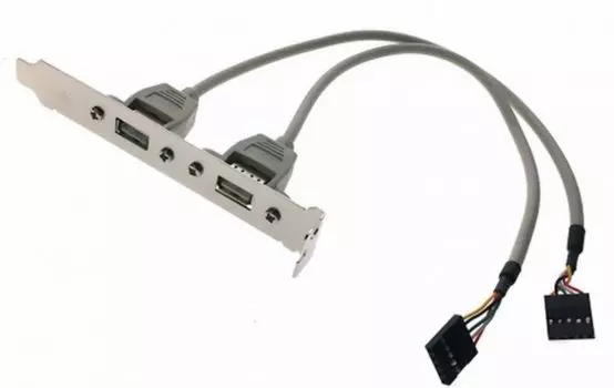 Кабель Advantech '1700100170-ME 2*5P-2.54/USB-A(F)*2 17.5cm