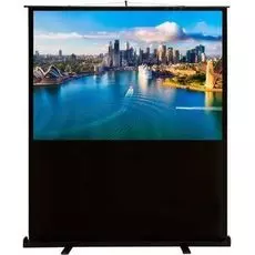 Экран Cactus CS-PSFLCE-160X120 FloorCompactExpert, 4:3, напольный рулонный
