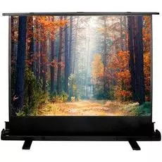 Экран Cactus CS-PSFLE-180X135 FloorExpert, 4:3, напольный рулонный