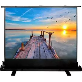 Экран Cactus CS-PSFLE-200X113 FloorExpert, 16:9, напольный рулонный