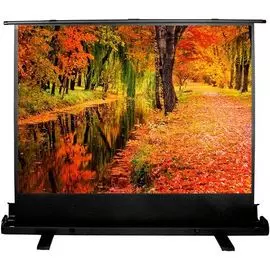 Экран Cactus CS-PSFLE-200X150 FloorExpert, 4:3, напольный рулонный