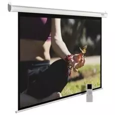 Экран Cactus CS-PSME-200X200-WT 1:1 настенно-потолочный рулонный белый (моторизованный)