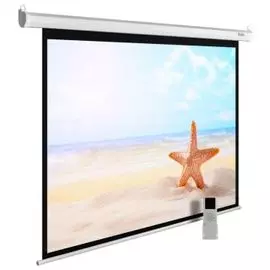 Экран Cactus CS-PSME-220X138-WT 16:10 настенно-потолочный рулонный белый (моторизованный)