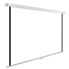 Экран Cactus CS-PSWE-220X165-WT 1:1 настенно-потолочный рулонный белый