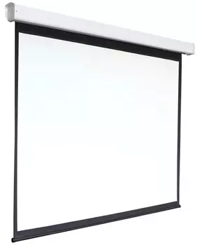 Экран Digis DSEF-4305 Electra-F, формат 4:3, 150", 308x230, раб поверхность 300x220, MW