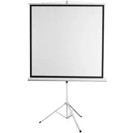 Экран Digis DSKD-1105 Kontur-D, формат 1:1, 100", 186x189, раб поверхность 180x180, MW