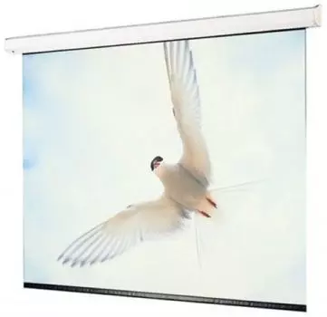 Экран Draper Targa 244/96" (8') HCG (3:4) 152*203 см