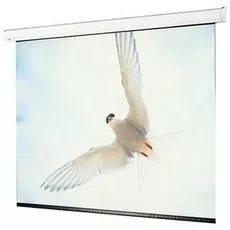 Экран Draper Targa 244/96" (8') MW (3:4) 152*203 см