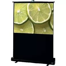 Экран Draper Traveller 100" MW