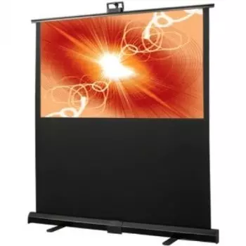 Экран Draper Traveller 80" MW (4:3) 122*163 см, мобильный
