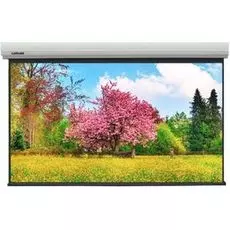 Экран Lumien LMLC-100110A с электроприводом Master Large Control 449x700см(раб.обл. 431x690см) (320") Matte White FiberGlass, черн. кайма по периметру