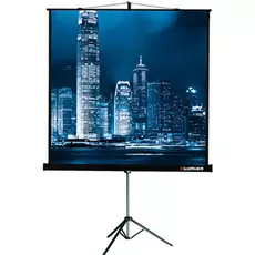 Экран Lumien LMV-100106 Master View 128*171 4:3, устойчивый штатив