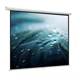 Экран Viewscreen Lotus WLO-1109 ручной (1:1) 220*220 (212*212) MW