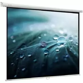 Экран Viewscreen Lotus WLO-4305