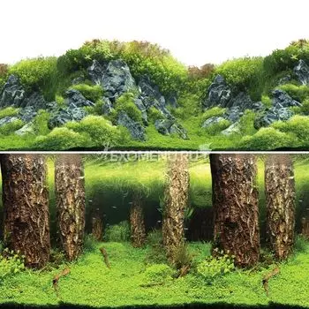 Фон 9086/9087, 0,5*15м "Затонувшие стволы/Изумрудные скалы"